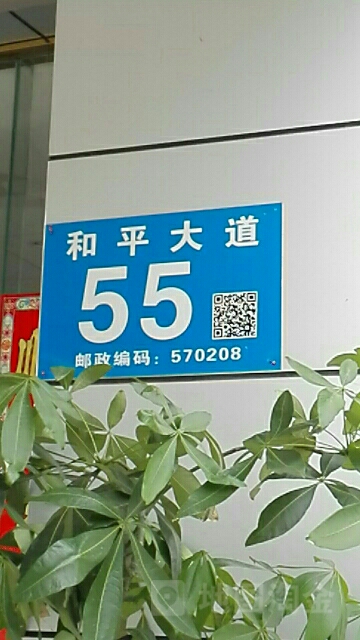 和平大道55号