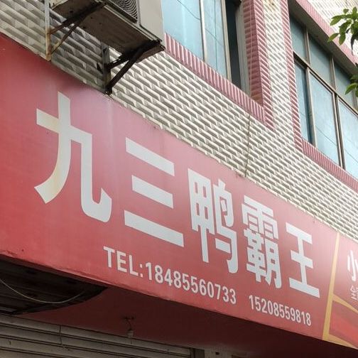 九三鸭霸王(岑巩县粮食和物资储备局南)