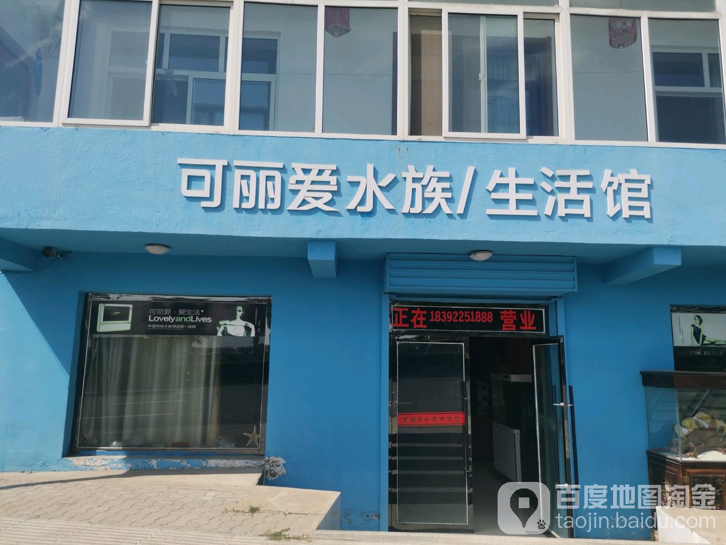 可丽爱水族生活管