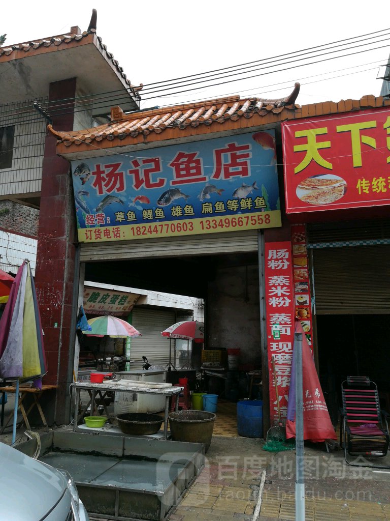 杨记鱼店