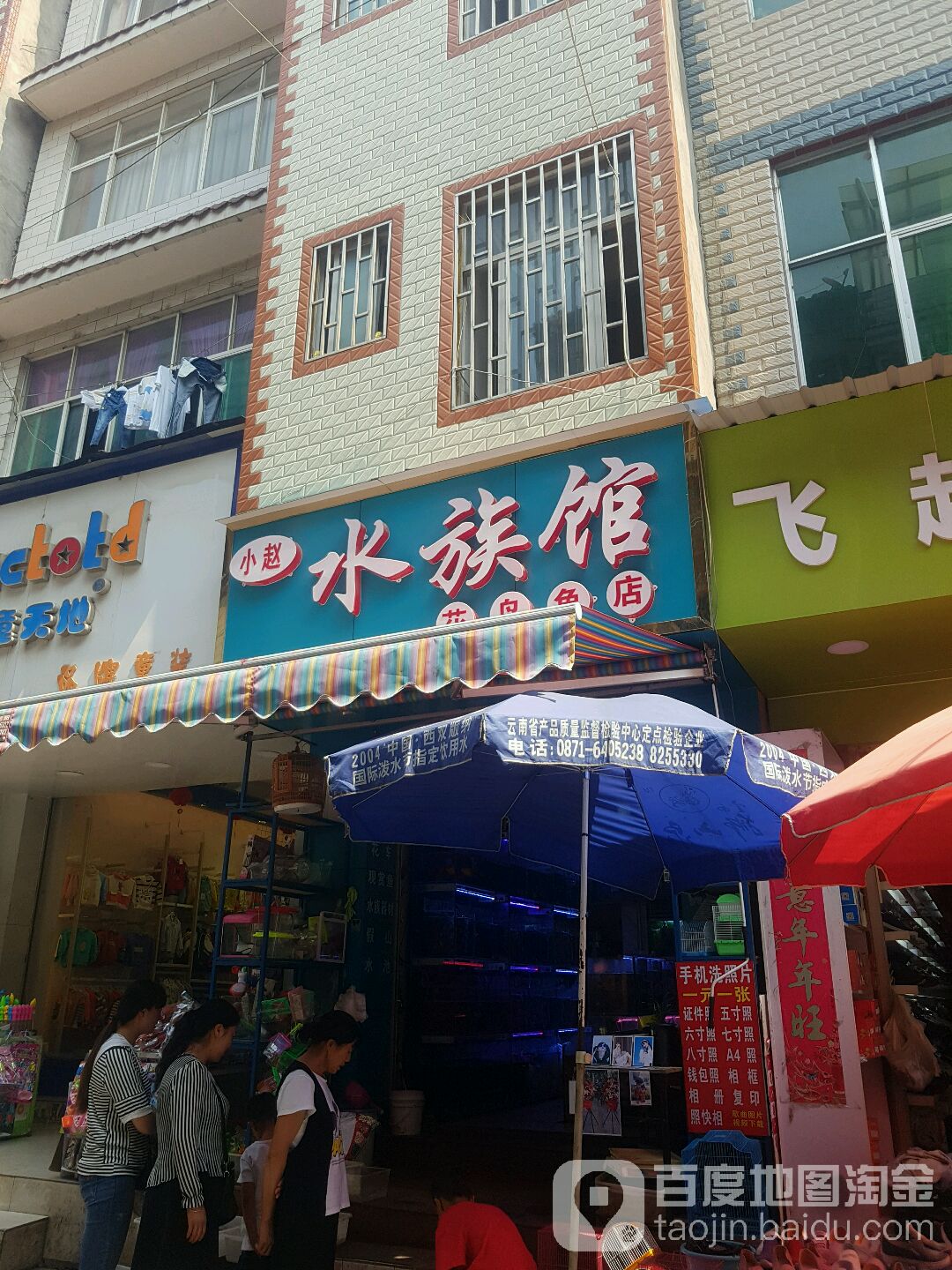 小赵水族管