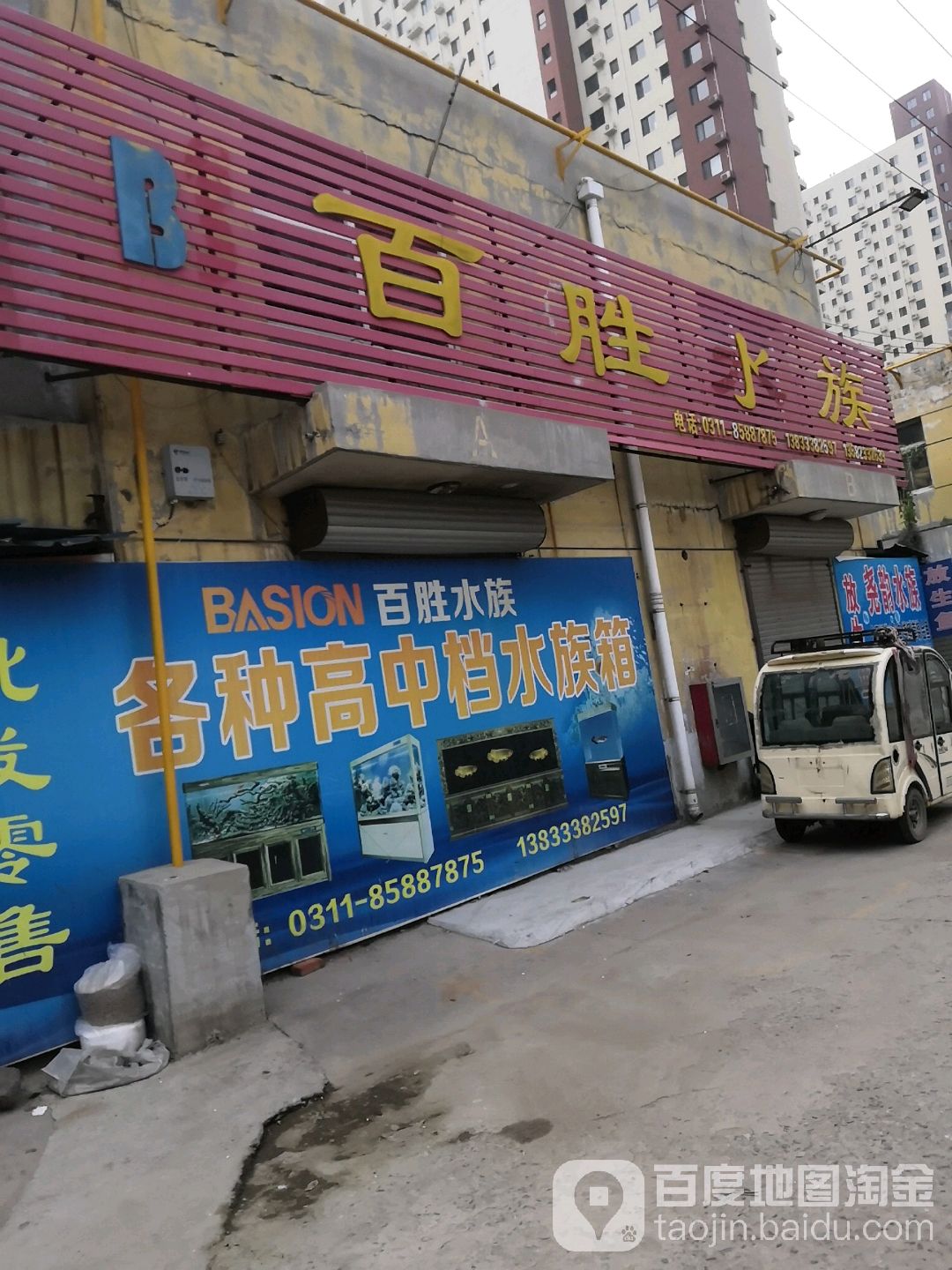 百胜水族观赏鱼批fa发总部