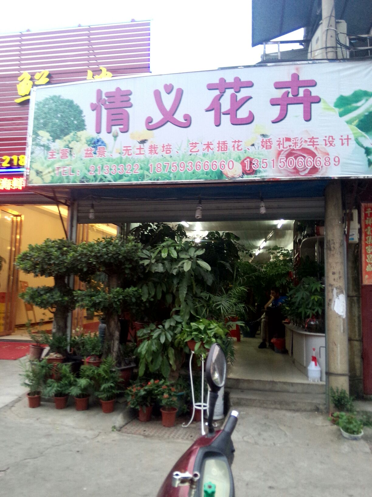 情义花卉