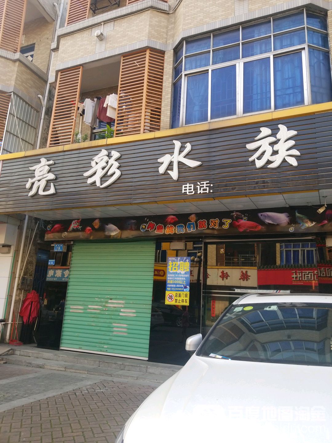 亮彩水族(寮步旗舰店)