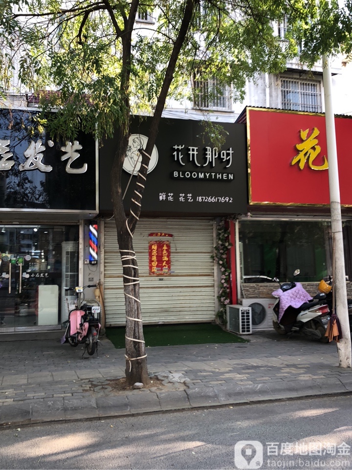 开花那时