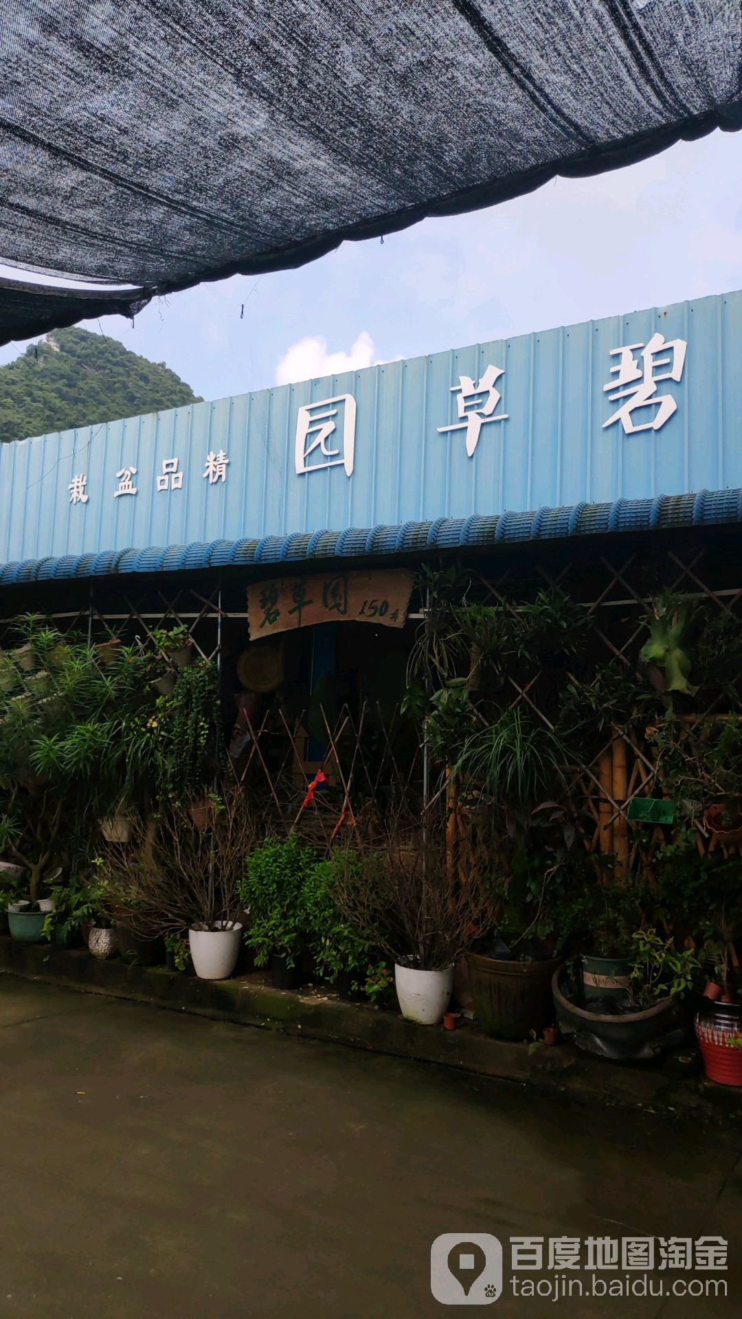 碧草园精品盆栽