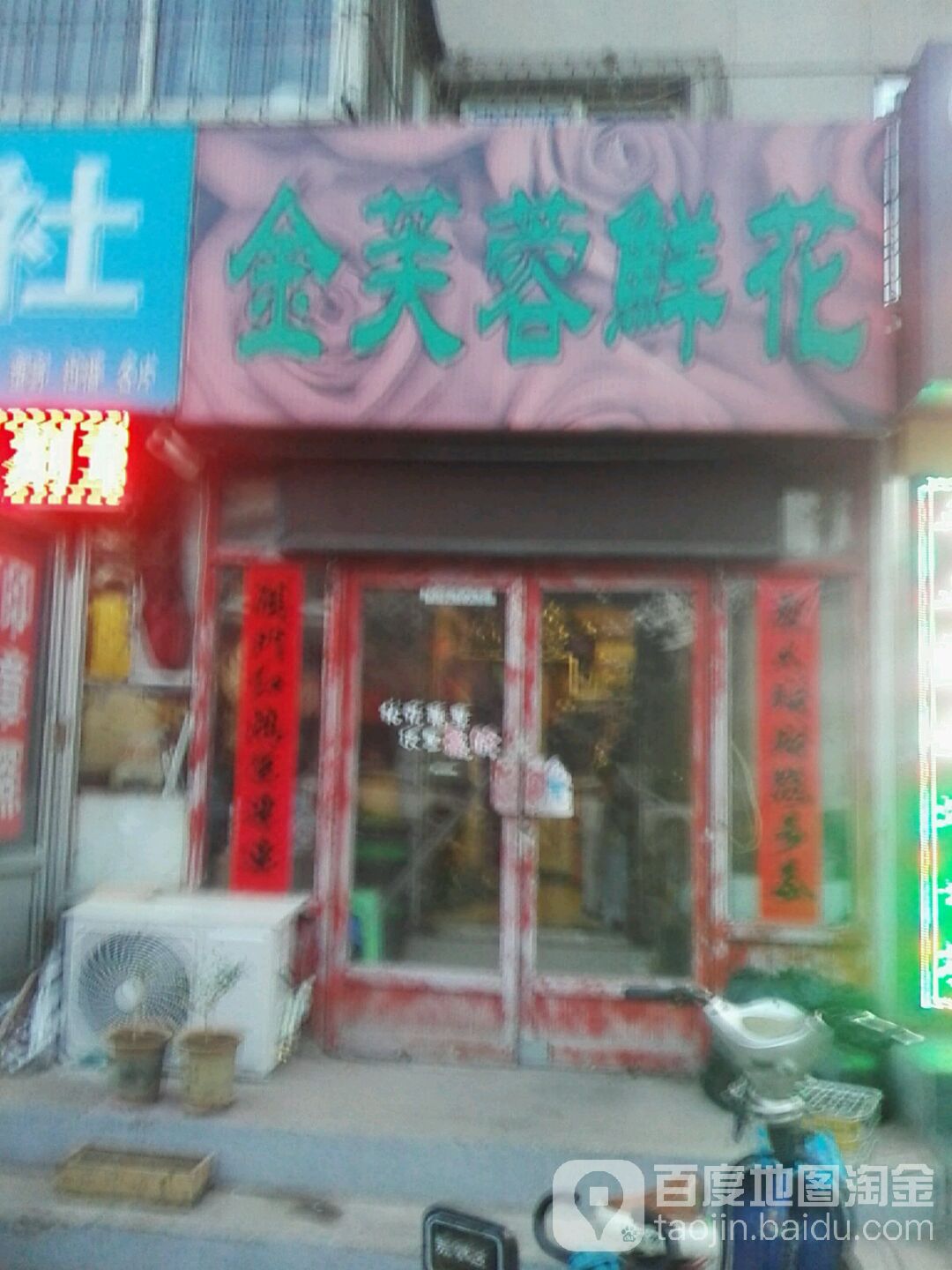 金芙蓉鲜花