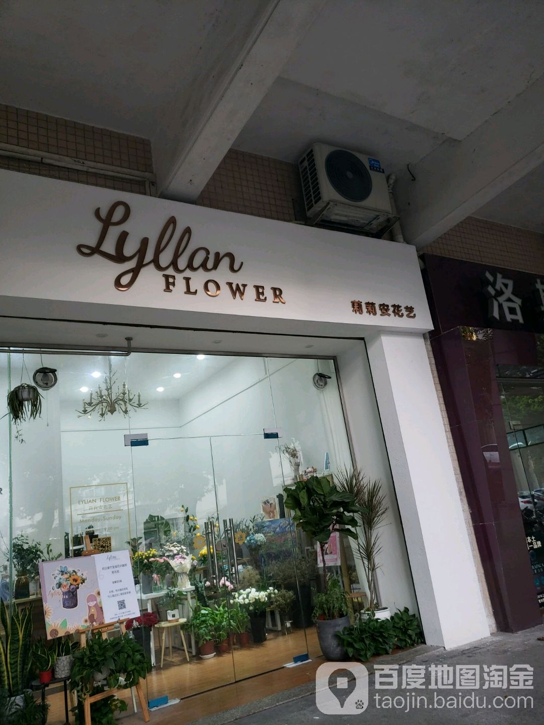 LYLIAN FLOWER莉莉安花艺