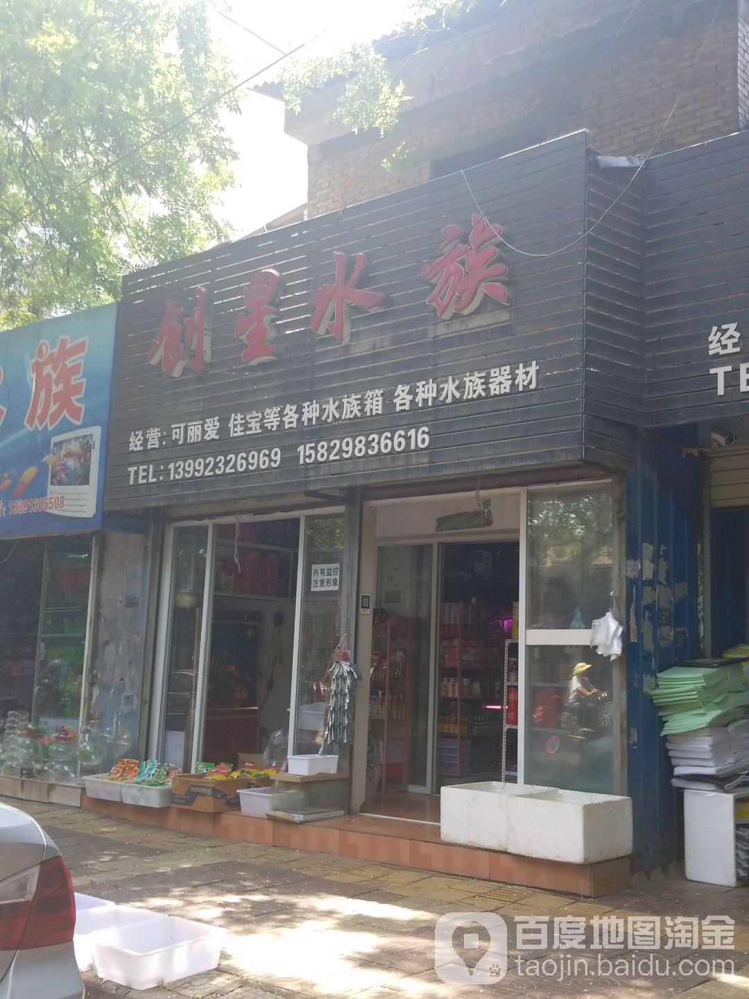 创星水族(渭南旗舰店)