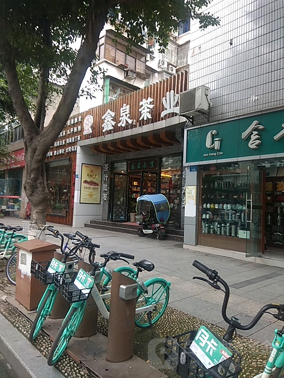 鑫泉茶业