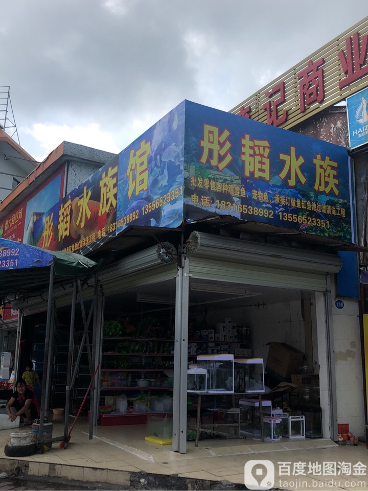 彤韬水族馆(东镇大道店)
