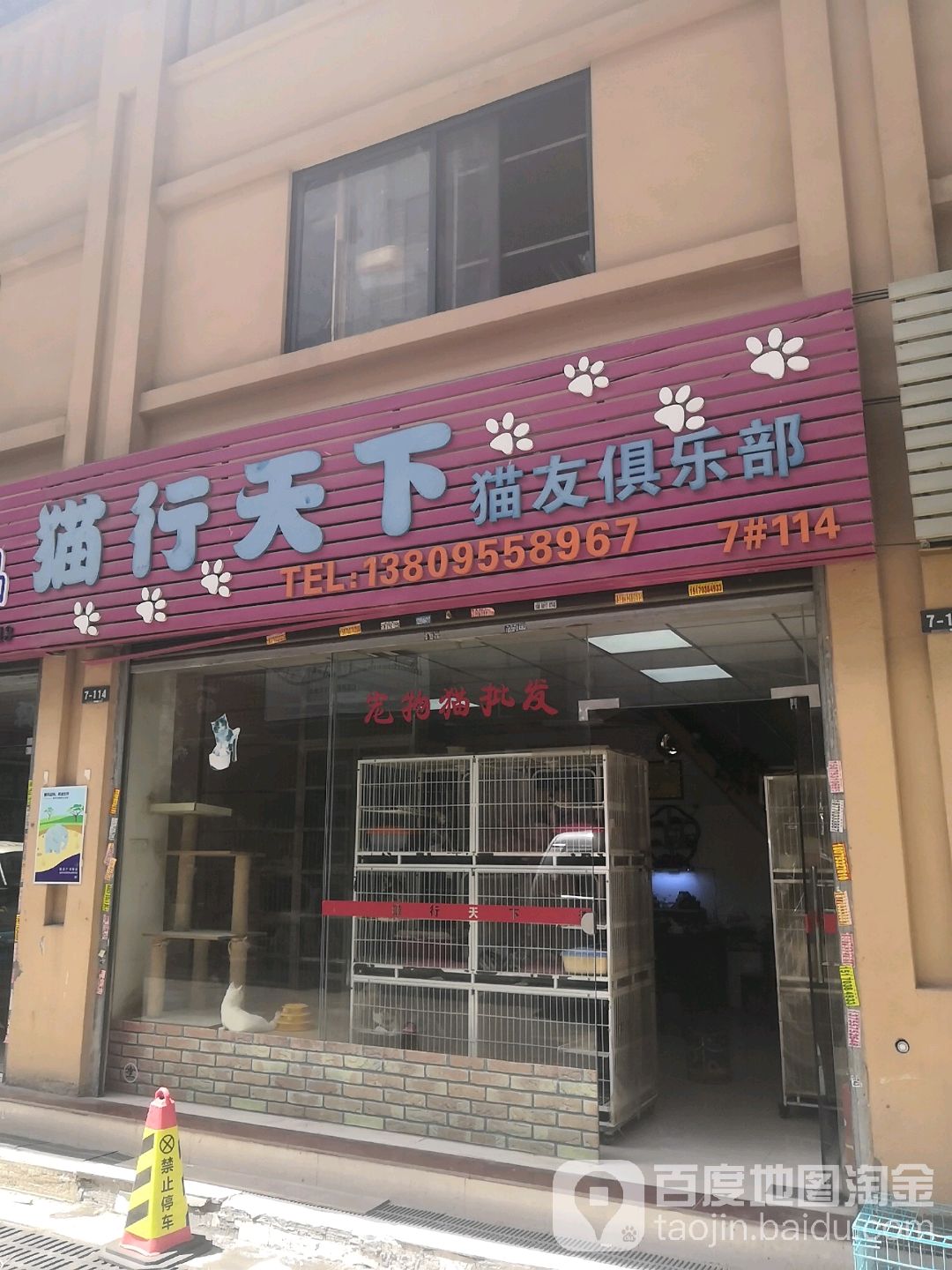 猫行天下猫友俱乐部(花鸟市场店)