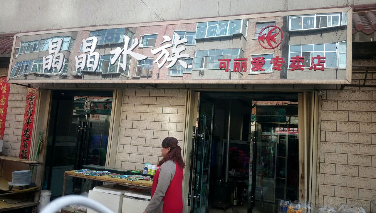 晶晶水族可丽宝爱专卖店