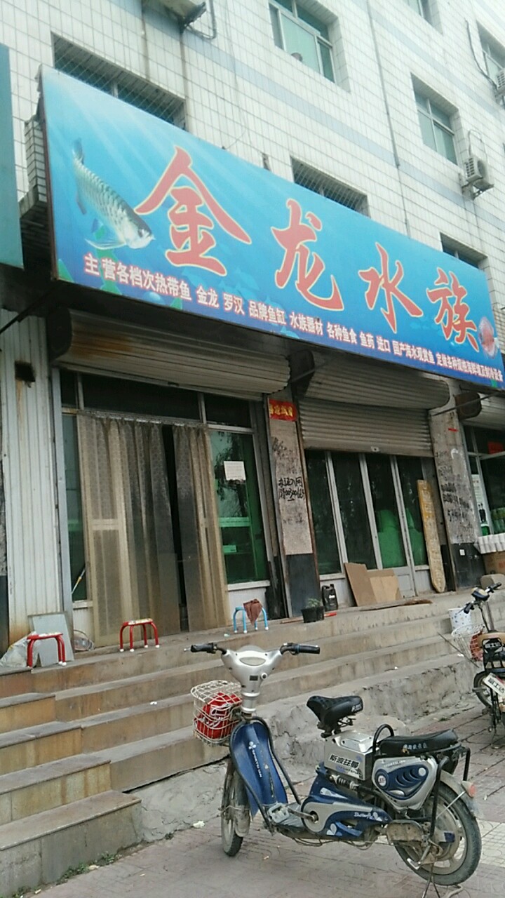金龙水族