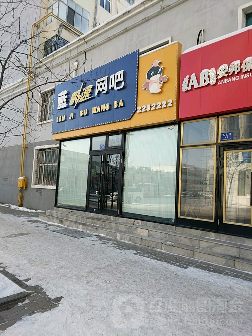 蓝极速网