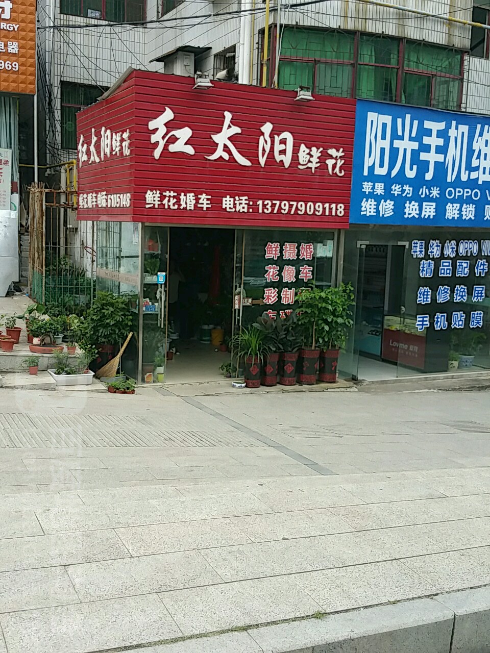 红太阳鲜花店