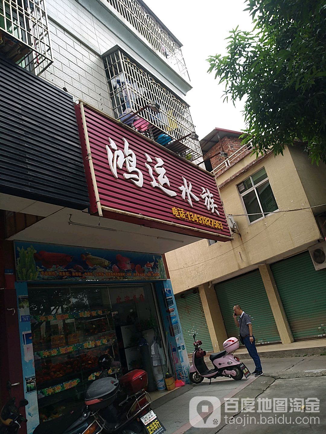 鸿运水族(梅江大道店)