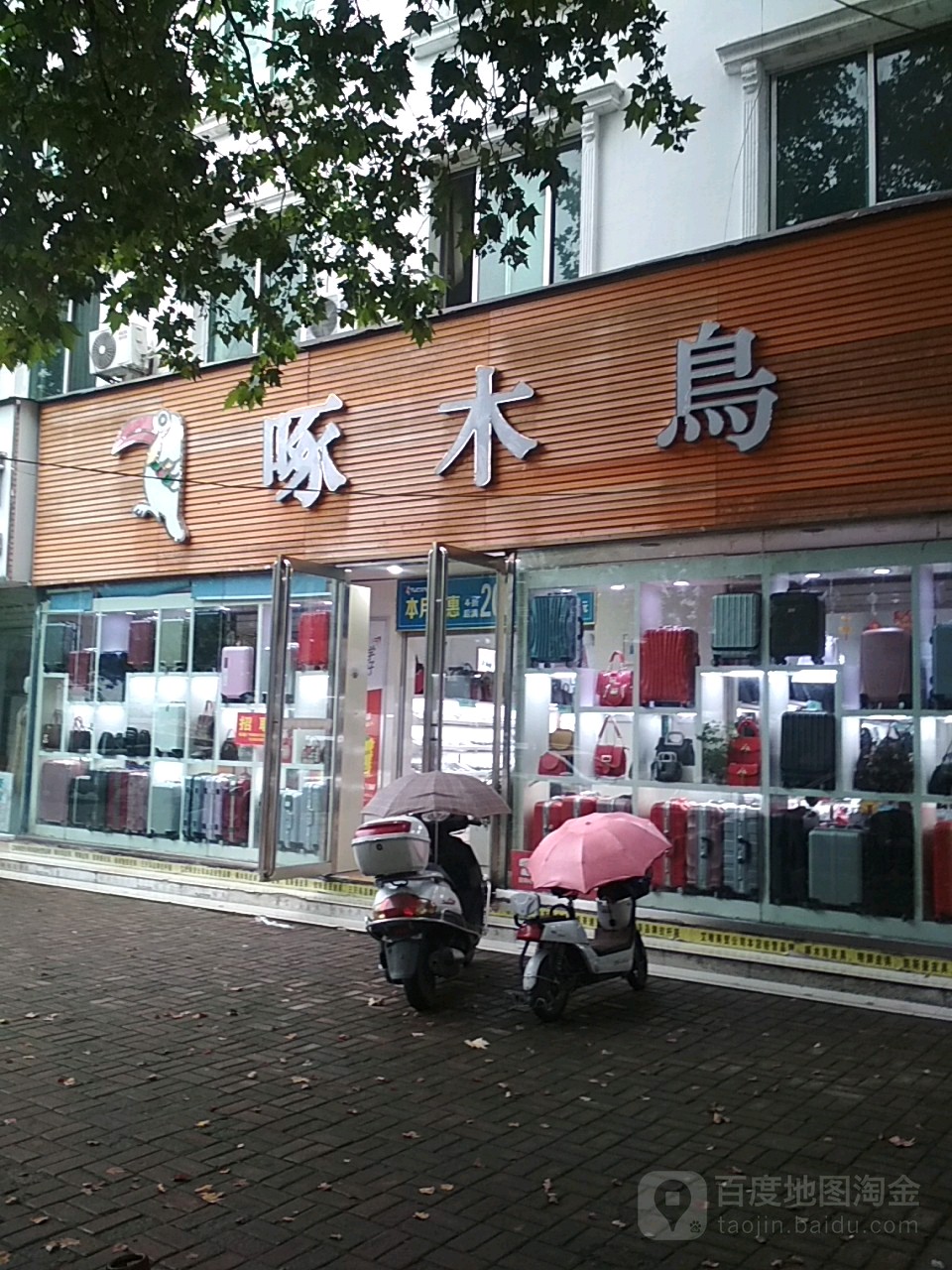 桐柏县啄木鸟(新华街店)