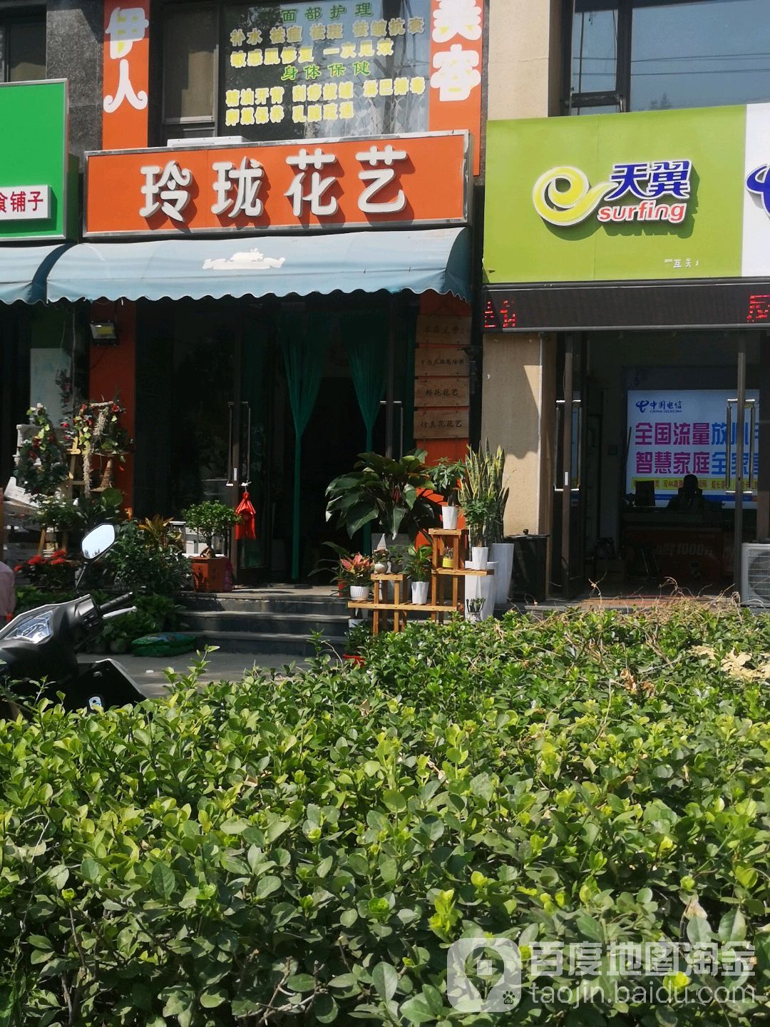 玲珑花艺