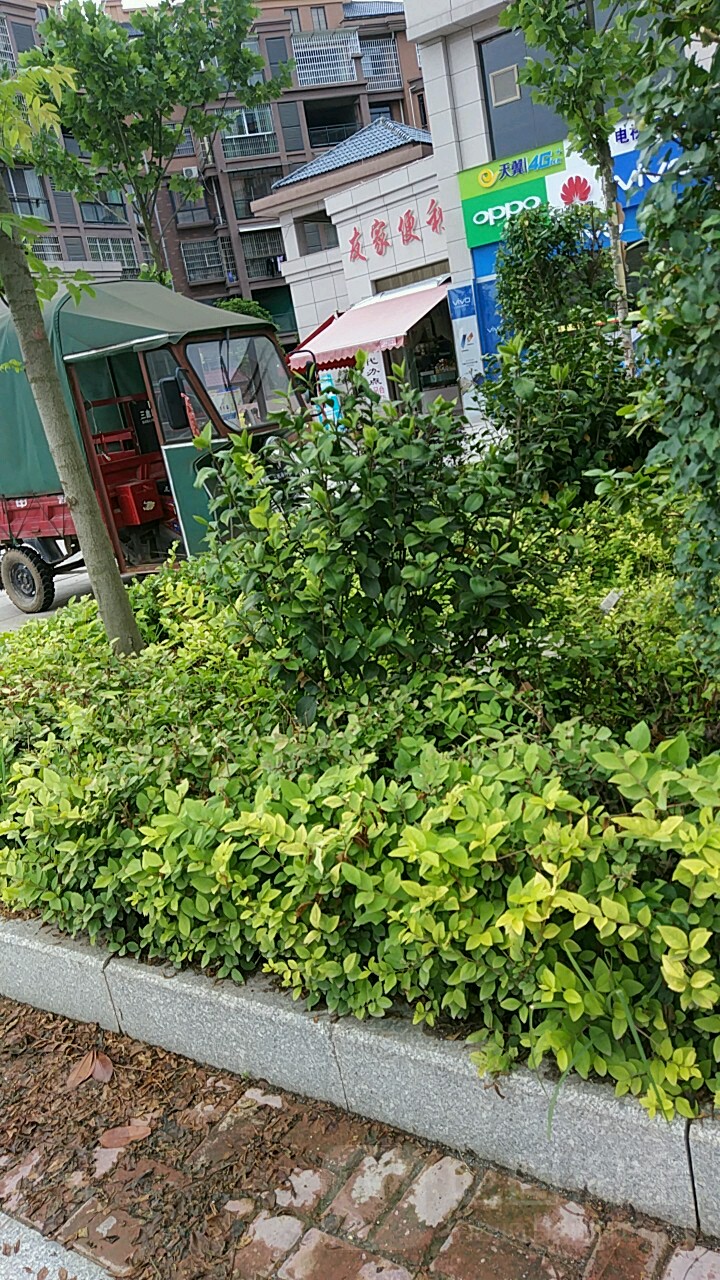 友佳便利店(城南大道店)