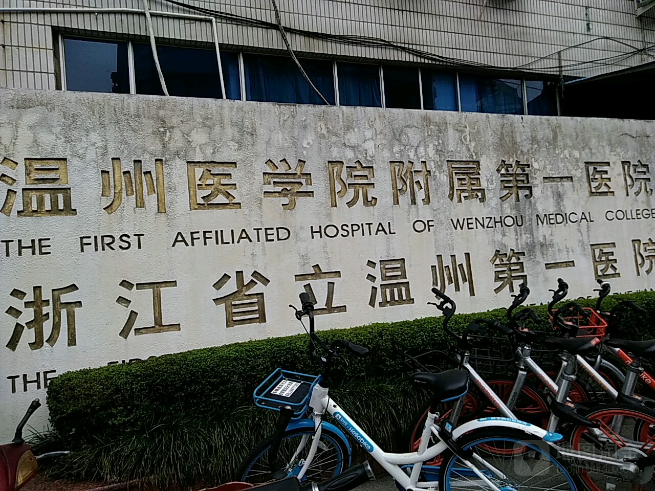 温州医学院附属第一医院(老院区)