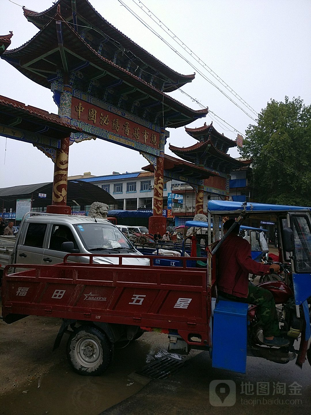 泌阳县中国泌阳香菇市场