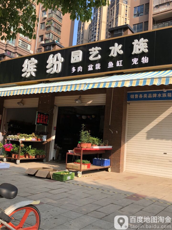 缤纷元艺水族(赛达国际店)