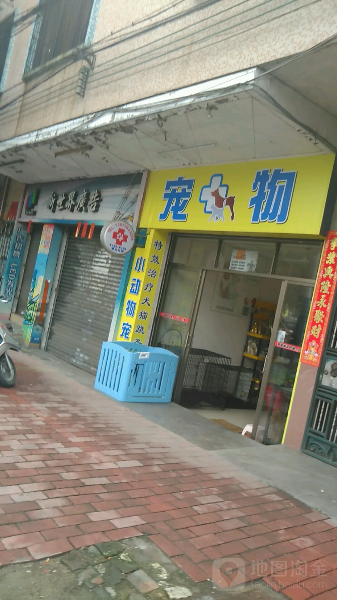 新兴县宠物店