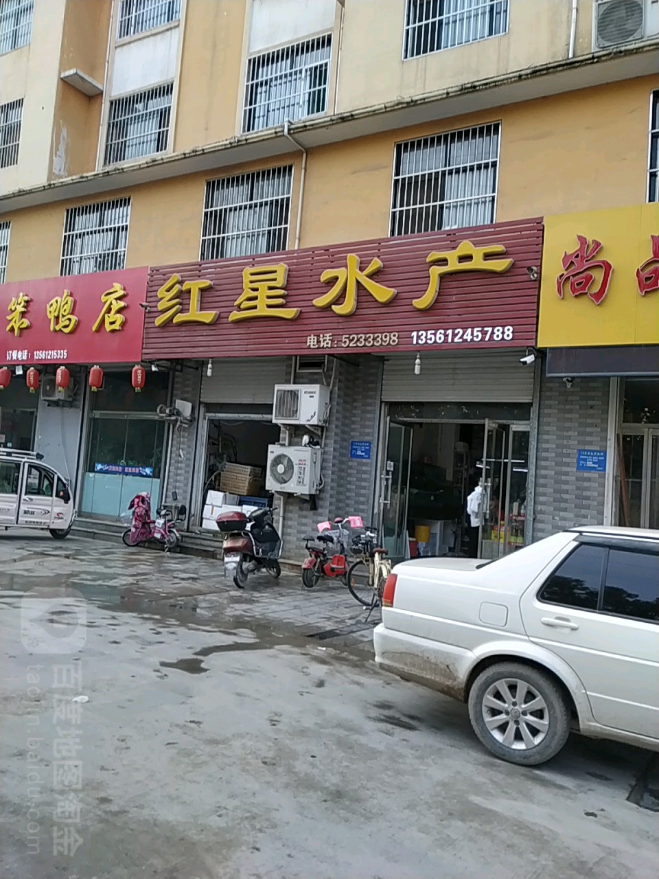 红星水产(中信花园店)