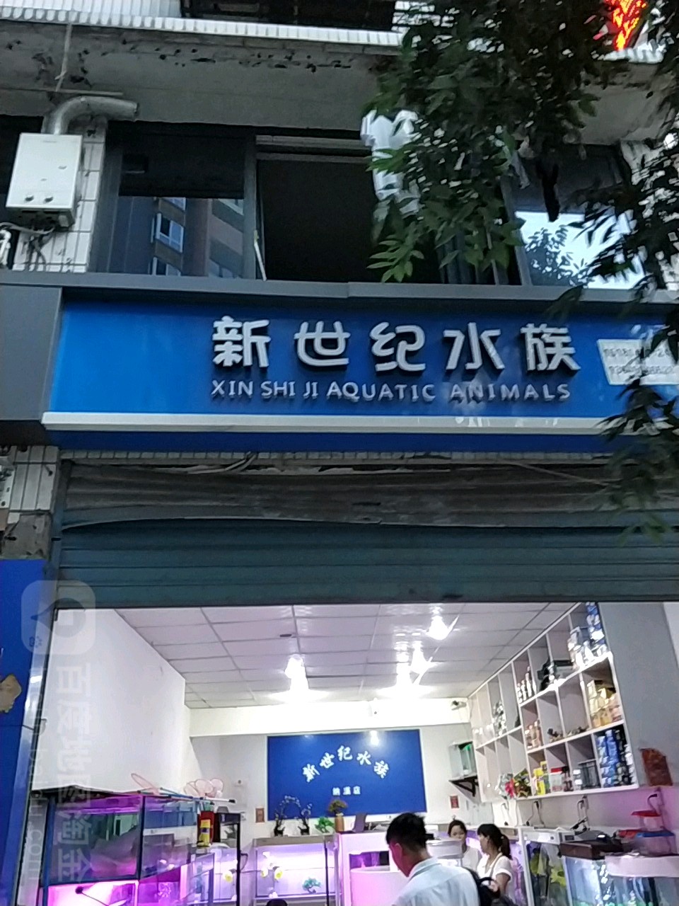 新事纪水族(纳溪店)