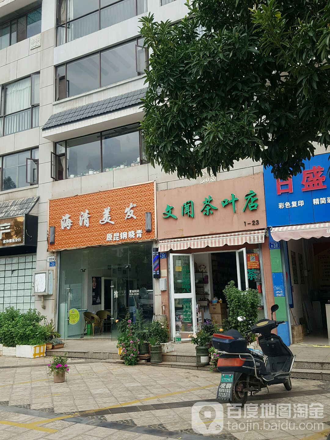 文闻茶叶店