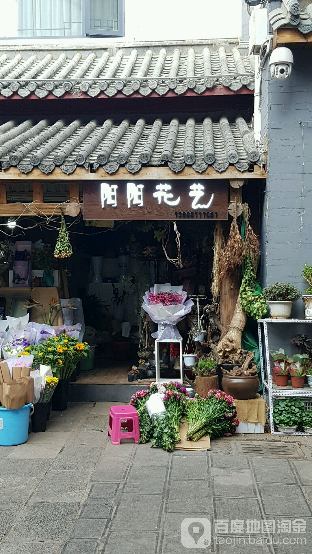 阳阳花艺(金碧花市店)