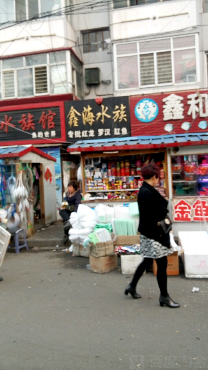 鑫海水族