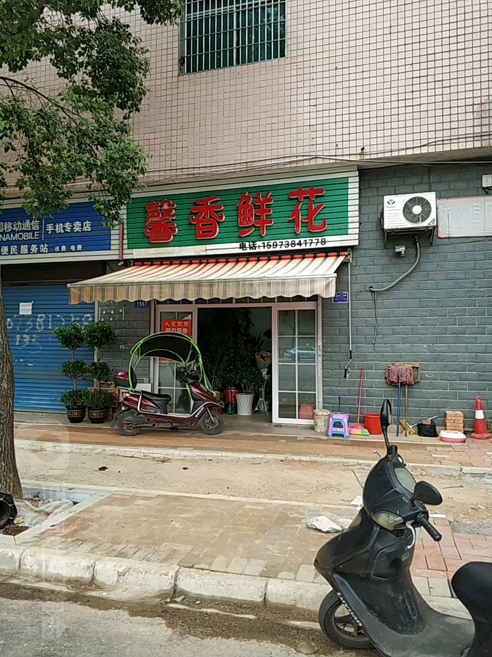 馨香鲜花