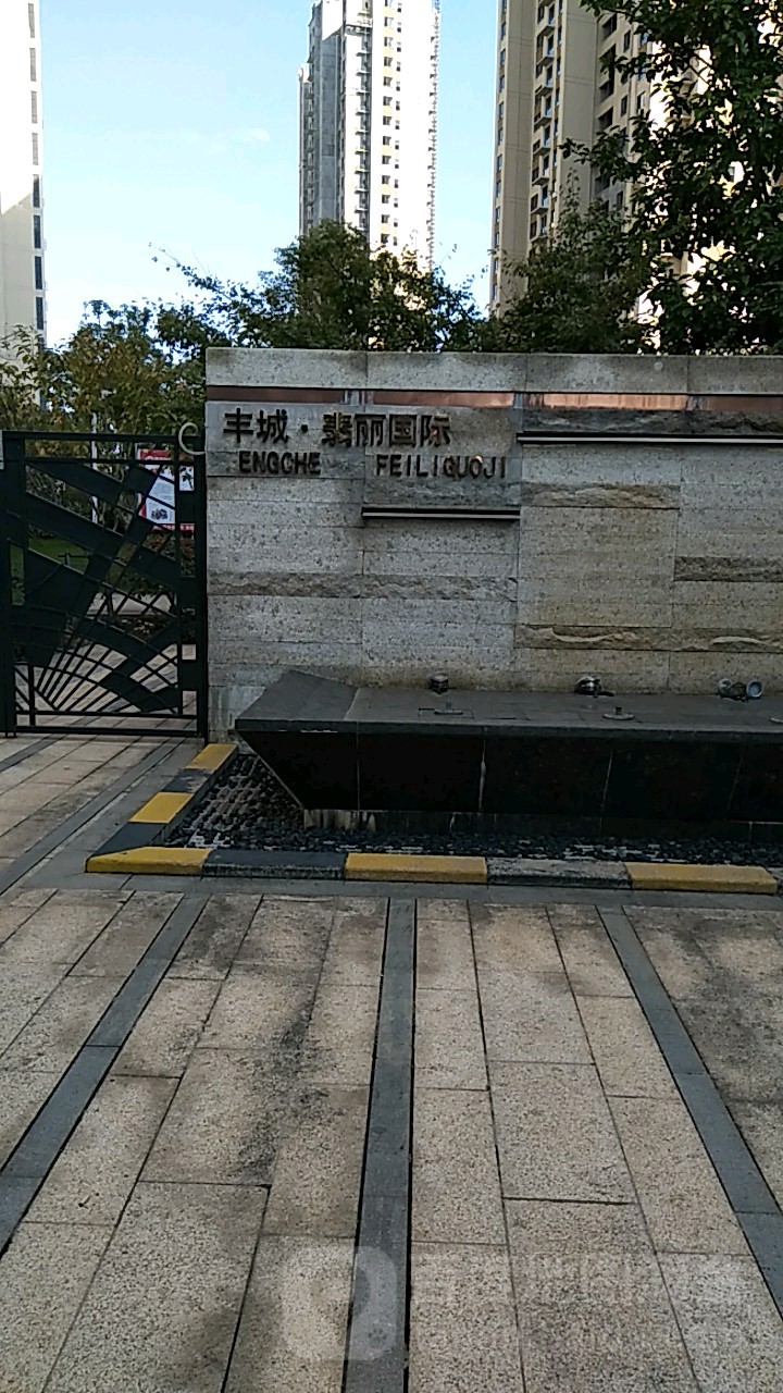 翡丽国际