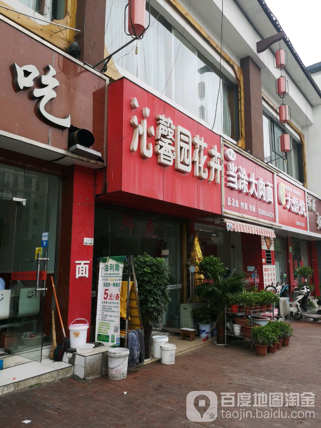 沁馨园华卉