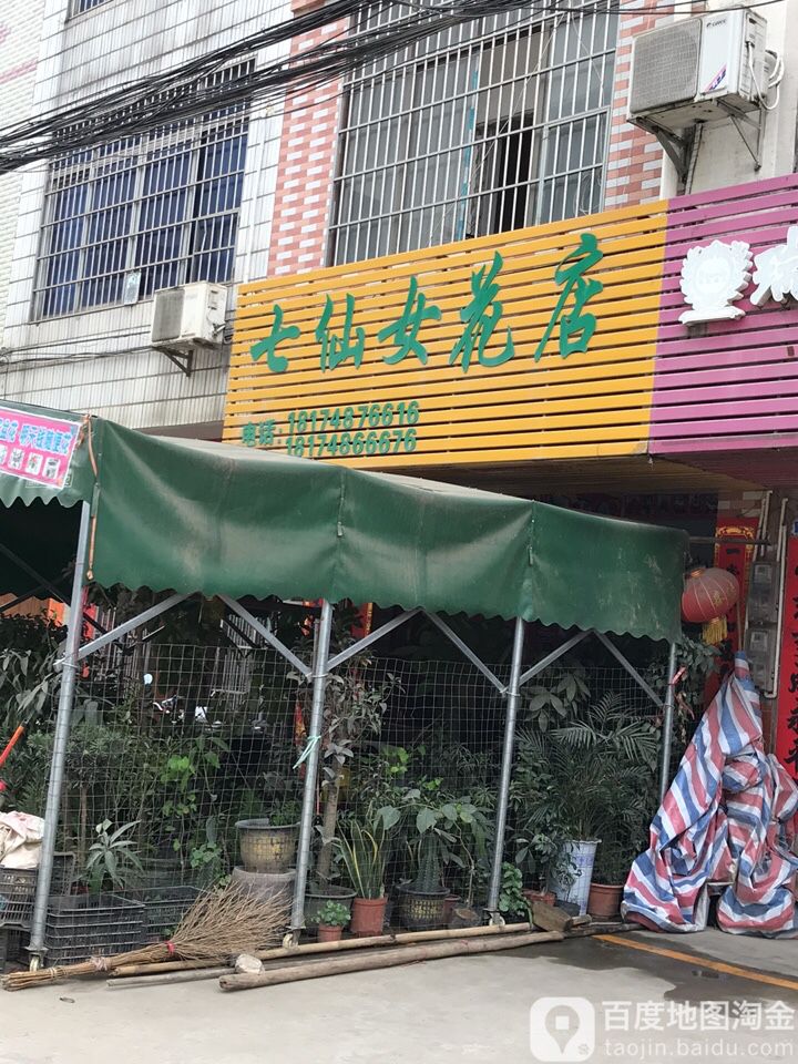 七仙女花店