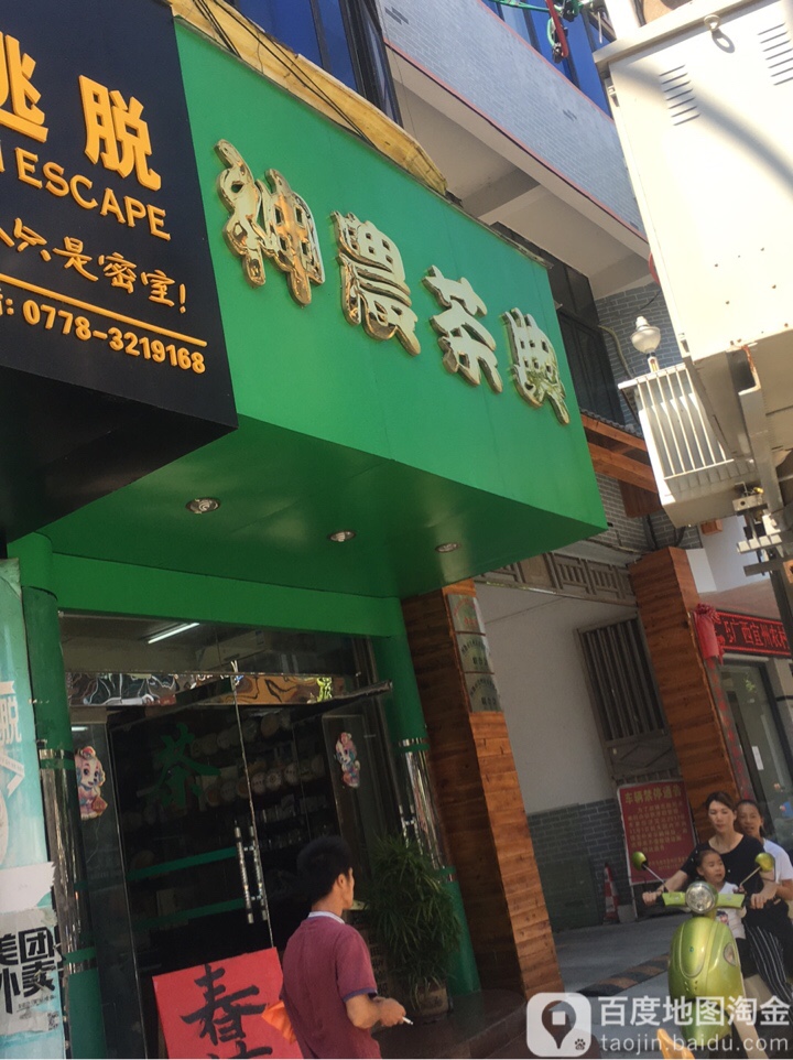 神农茶典