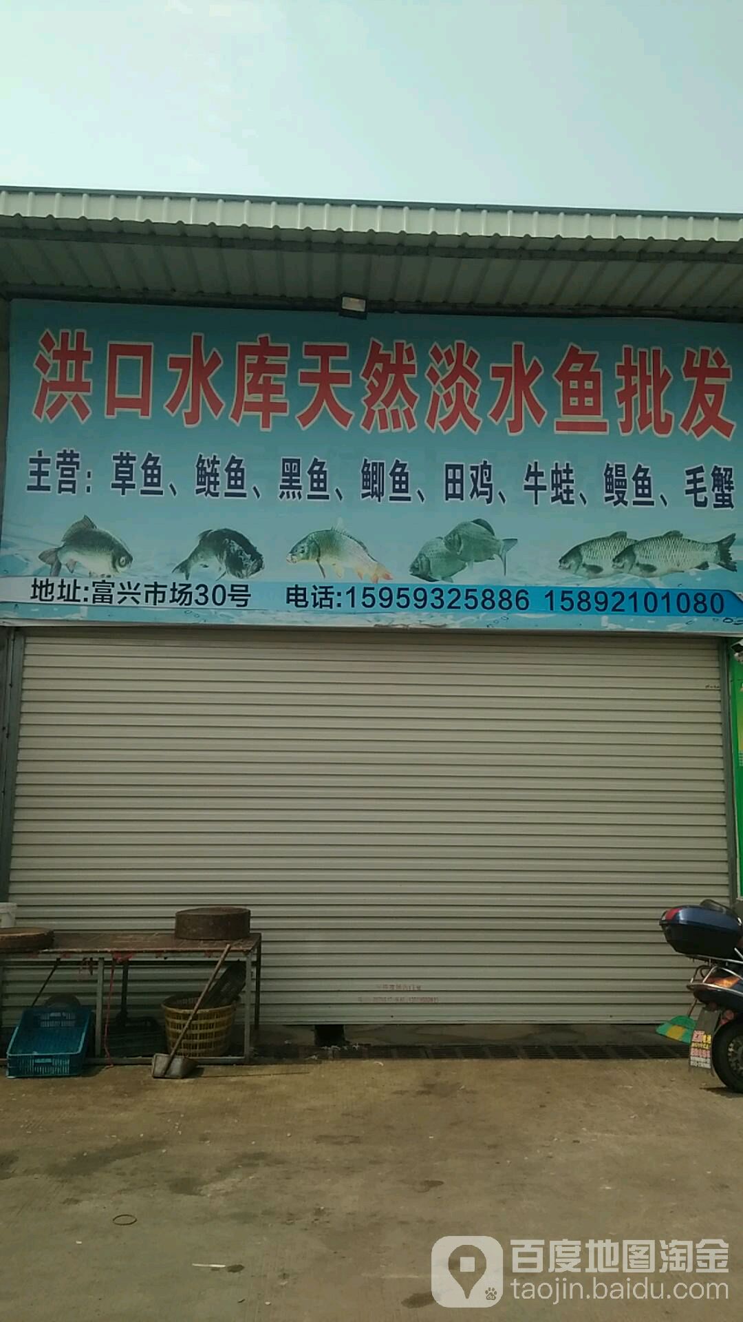 洪口水库天然淡水鱼批发