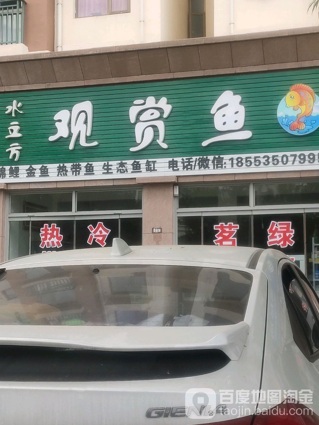 水立方观赏鱼(南山庄园华府店)