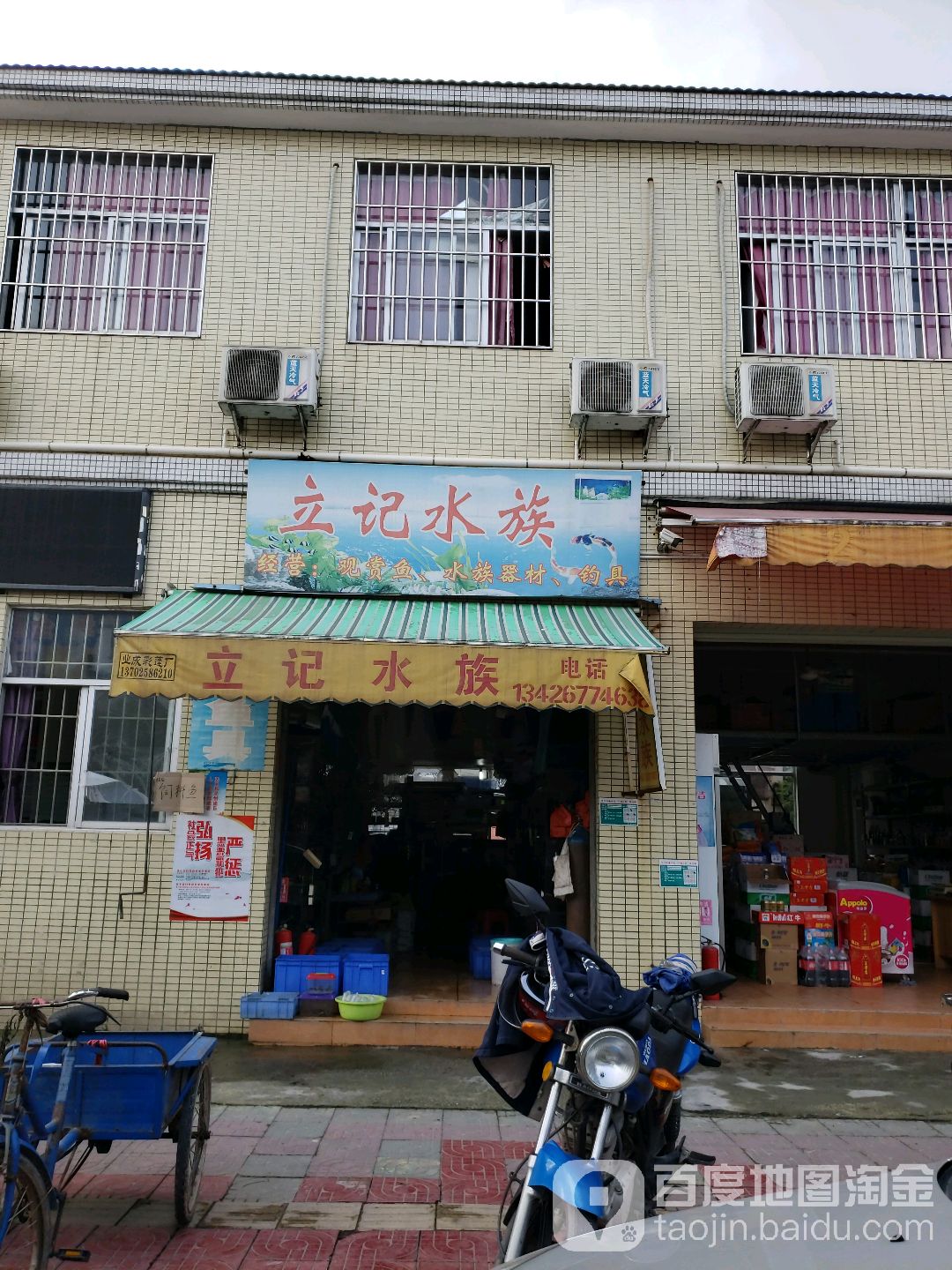 立记水族