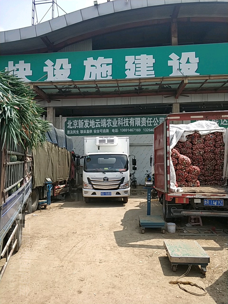 新发地网站建设 全网资源