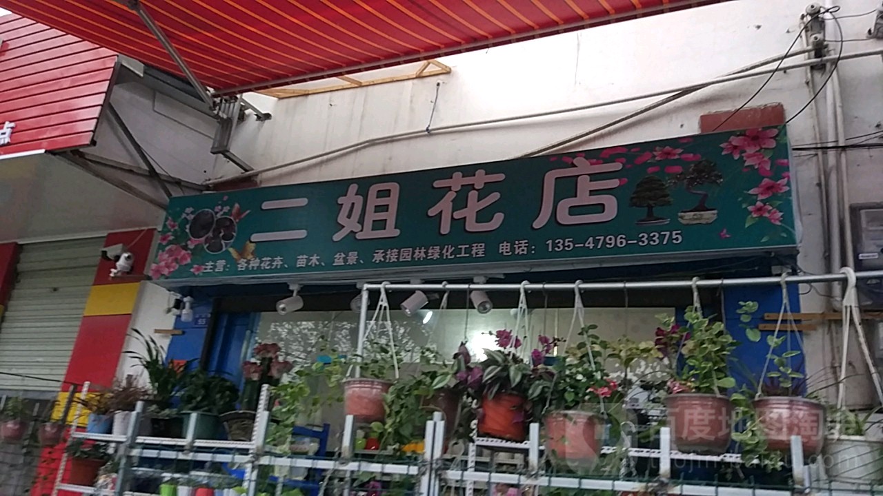 二姐花点