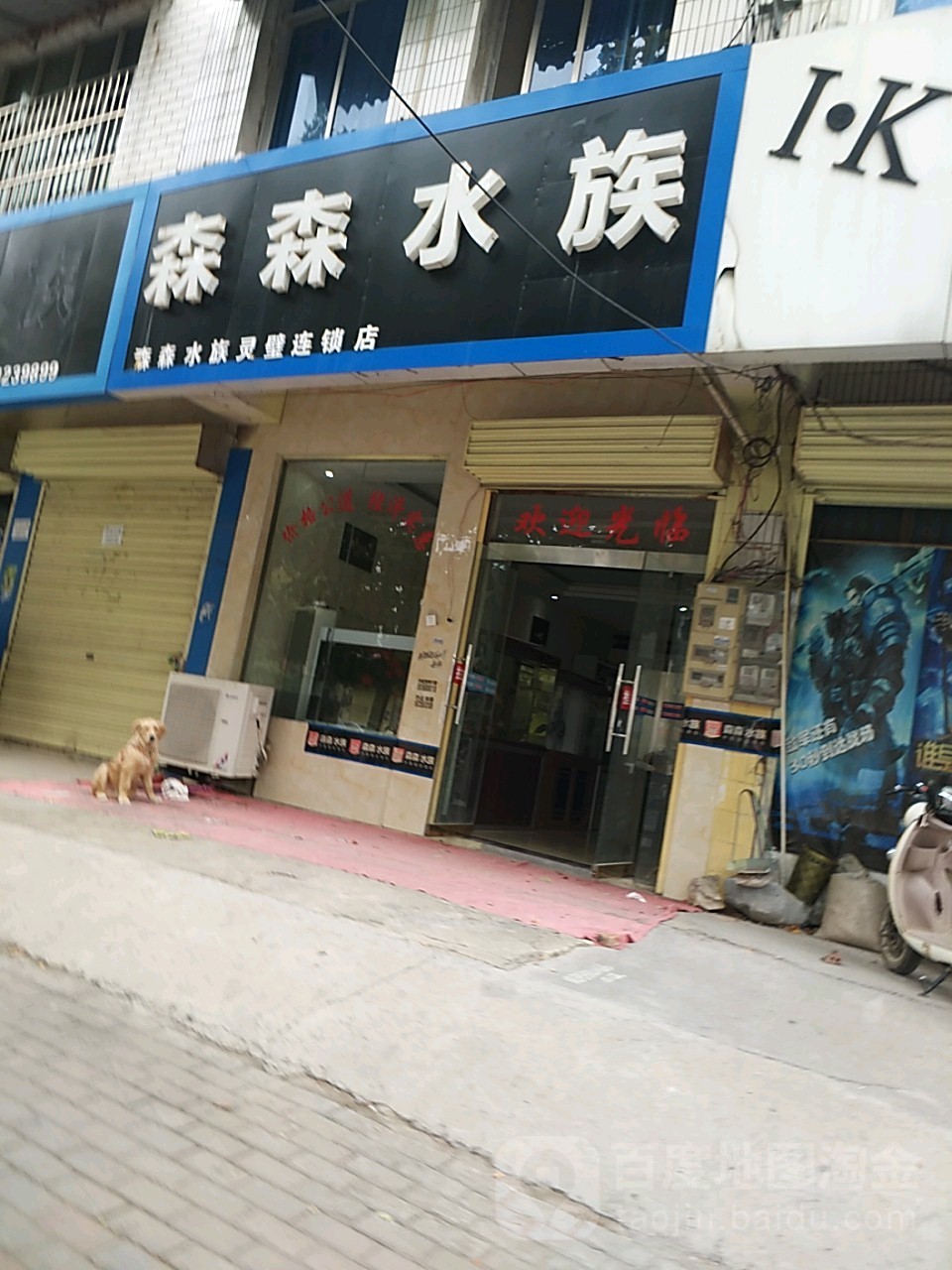 sen森水族(灵璧店)