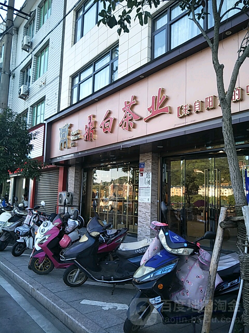 鼎老白业-福鼎江滨店