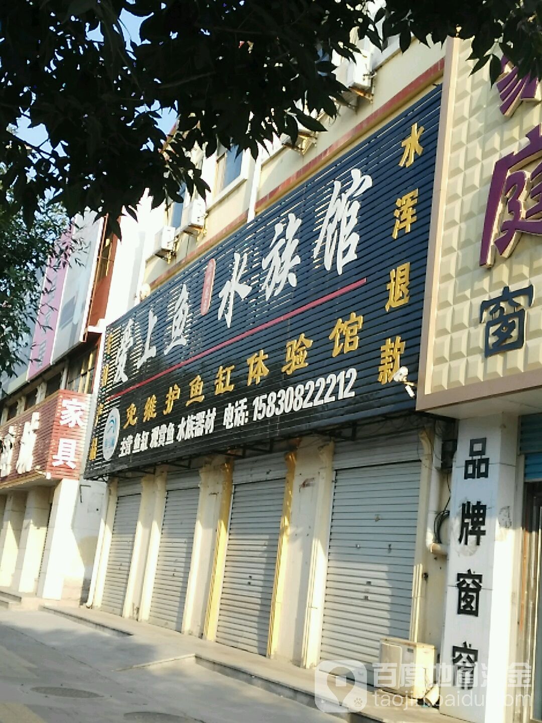 爱上鱼水族馆(沧州总店)