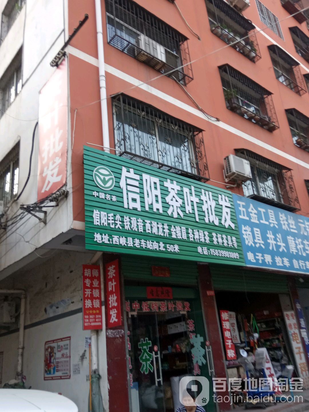 信阳云台雾茶叶批发