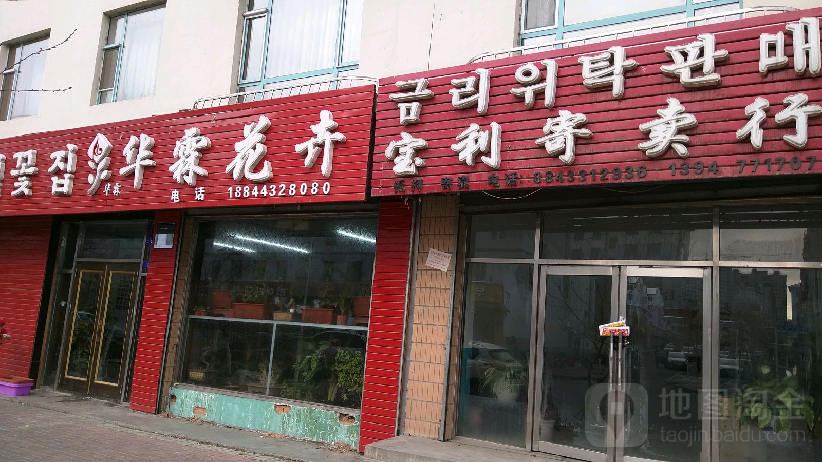华霖花卉