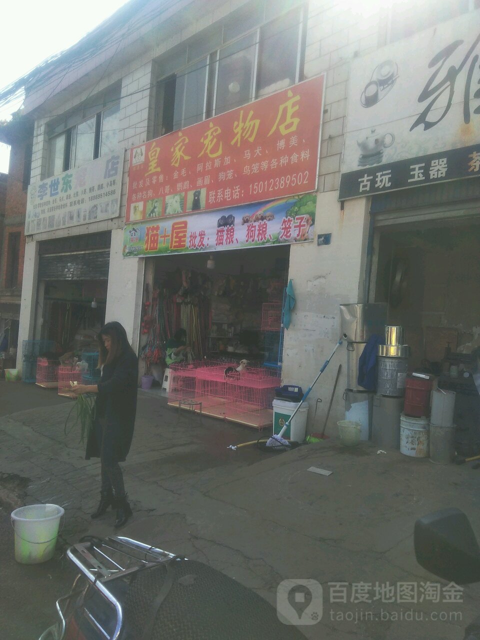 皇家宠物店