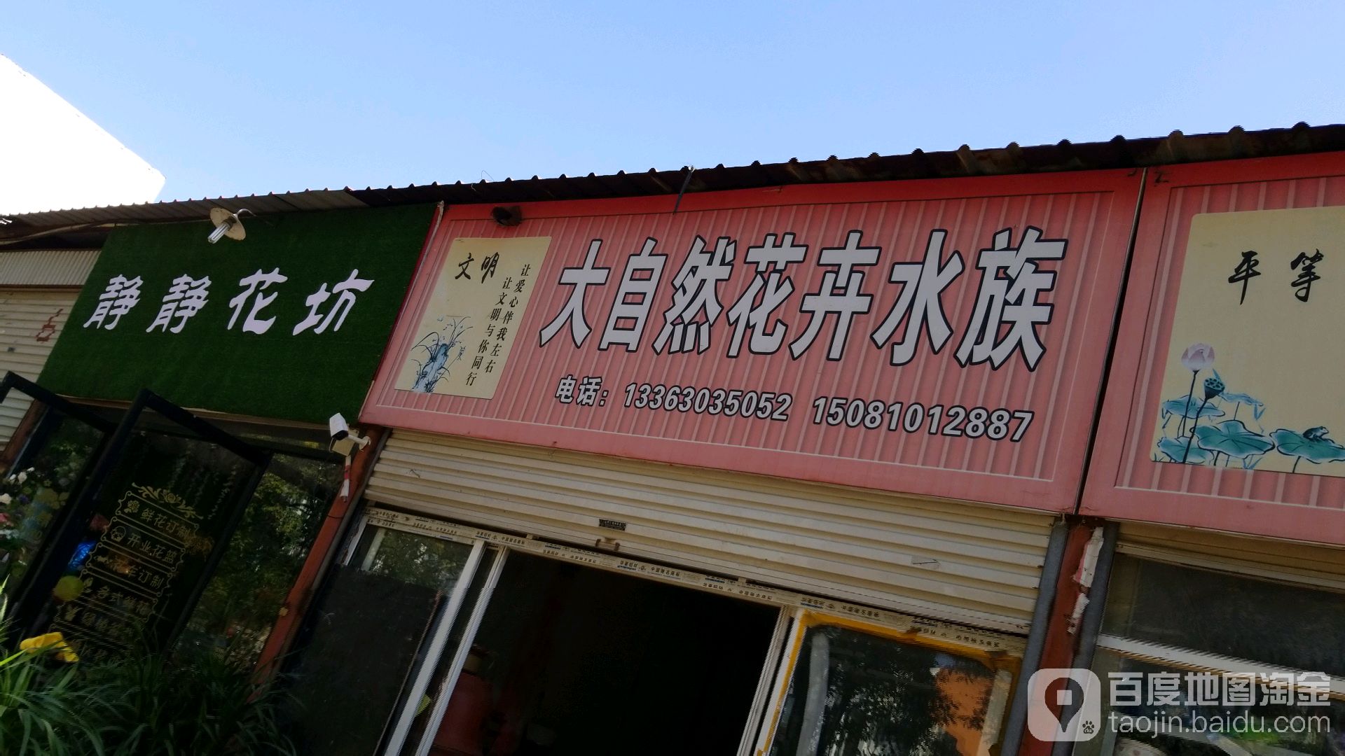 大自然花卉水族